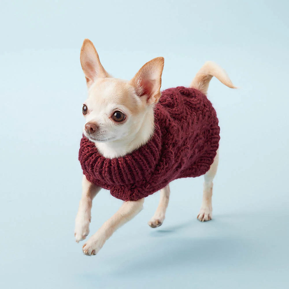 Handknit Dog Wool Sweater