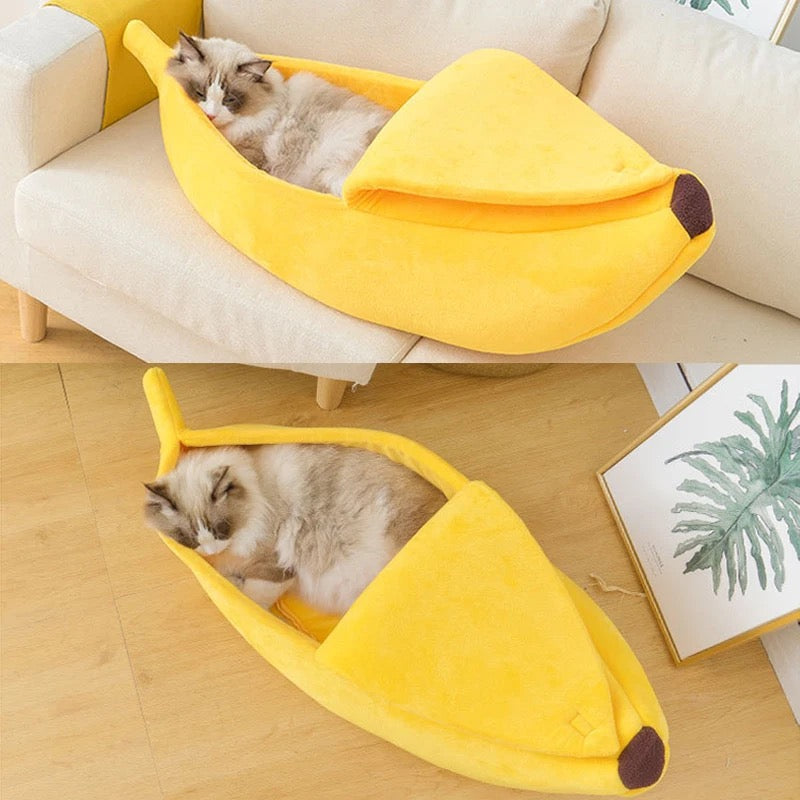 Banana House for Cats & Dogs